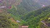 大隐隐于5A景区旁，这才是真正的世外桃源，风景胜景区