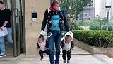 三胞胎带养方式是这样的，爸爸带只要活着就行，真是太搞笑了