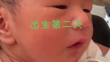 出生第二天，母乳没有下来，爸爸用勺子喂配方奶，宝宝吃的好香呀