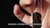 水蛭的生命力顽强，小伙把它直接扔进“酸辣汤”，结果会发生什么