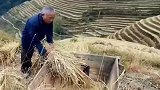 你们认识这个吗，现在好像没有了
