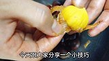 生板栗怎么去皮，怎么保存？简单一招，3秒去皮，放一年都不会坏