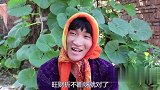 妈妈给兄妹俩买小乌龟玩具，结果甜甜刚拿到手里就被哥哥套路走