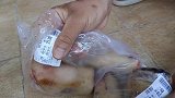 祖传30年的秘制猪蹄，现在配方和方法告诉你，学到就是赚到