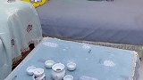 我真没吃火龙果啊
