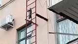 猫咪爬楼梯竟然这么厉害