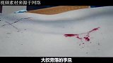 太子让位给弟弟，让出千古明君，自己死后还被追封为帝