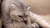 这个家我说了算