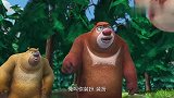 熊出没：小动物有宝贝，那可是琥珀啊，强哥准备去偷了