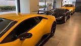 来澳门采购两地牌兰博基尼
