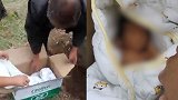 山东"活埋男婴"被弃荒山 律师：涉嫌故意杀人未遂