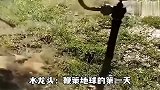 水龙头奇葩搞笑瞬间