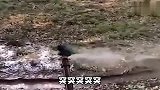 水龙头奇葩搞笑瞬间