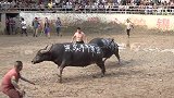 黑马将军牛王功夫了得，一来就使出扣功，9秒打跑对手