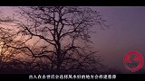 农村猪圈神秘丢猪，无奈之下村民报警，为何专家鼓掌叫好