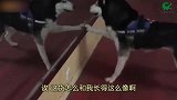 爆笑：小伙用柠檬汁恶搞媳妇，看来下半夜有好戏了！