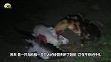 农夫半夜听到有动物惨叫声，起身一看乐坏了！镜头记录下全过程