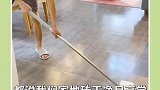 都说我们家的地拖得干净，其实我是用了这个