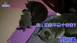 公猫半夜占了小奶猫的床，还当母猫面打小猫，母猫的反应叫人心疼