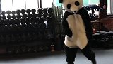 足球熊猫又来了！埃弗拉一身熊猫装突袭健身房