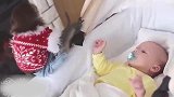 没有大人带娃，小宝宝只好跟猴子玩，这情景真是太有爱了！