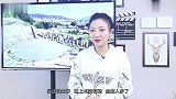 中国这条公路，为了节约成本建造的，结果却一不小心闻名世界
