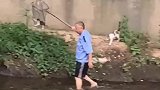 保安大叔用网捞起落水小猫，猫妈妈紧紧相随