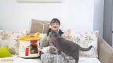 长辈说：猫身上有病毒，快把它丢掉！我该不该做？