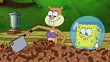 珊迪制作了坚果奶油，送给了派大星和海绵宝宝，派大星很贪吃