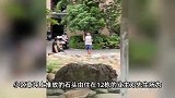 男子在小区摆“石头阵”，惹业主投诉、物业报警6次，社区回应