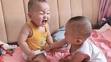 人类幼崽到底有多可爱，双胞胎兄弟日常工作干架，真是太搞笑了