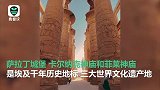 埃及三大世界文化遗产地标上演灯光秀 支持中国战“疫”