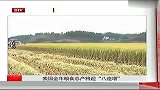 我国全年粮食总产将迎“八连增”
