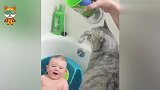 小猫撞见妈妈在帮1岁宝宝洗澡，下一秒小猫的反应，看完不许笑