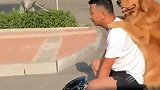 胎爸骑车带轮胎兜风，当看轮胎屁股后面冒烟的地方，突然感觉想笑