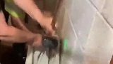 交给你果然没问题，你那狗屎运也太强大了