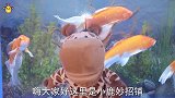 购买黄金首饰，这几点一定要留意，不然被骗都不知道，抓紧看看吧