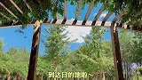 秋天来了，带宝宝和狗狗感受秋天的气息吧
