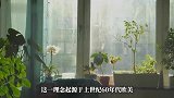 第一批丁克夫妻，现状曝光！
