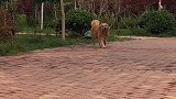 你们喜欢的画面，来吧……