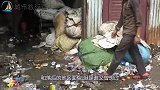 沙丁鱼似的贫民窟，在铁笼中生活，你都不知自己住得多幸福