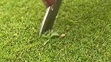 斩草不除根，春风吹又生