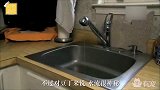 蠢猫每天都要趴在水龙头下面喝下午茶