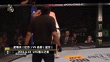 用武之地-20190405-MMA最疯狂的两个拳手，铁拳只往脸上狂轰！