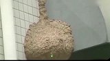 年轻人不讲武德，用激光清理马蜂窝，马蜂都不知道发生了什么事