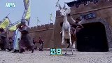 骗了我十几年古装剧里的“战马”被打飞了，真相竟然是这样