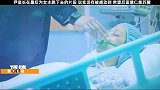 虽然你是妈妈领养的，但这一次豁出一切我也要留下你