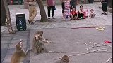 猴子投球。