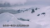 南极地下涌出“血水”，各国科学家纷纷前往，发现不得了的事！