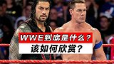 WWE到底是什么该如何欣赏